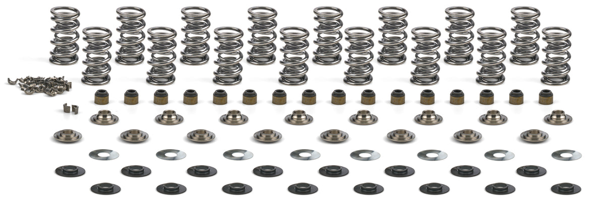 GEN V LT4 Platinum Dual Spring Kit .660in Lift